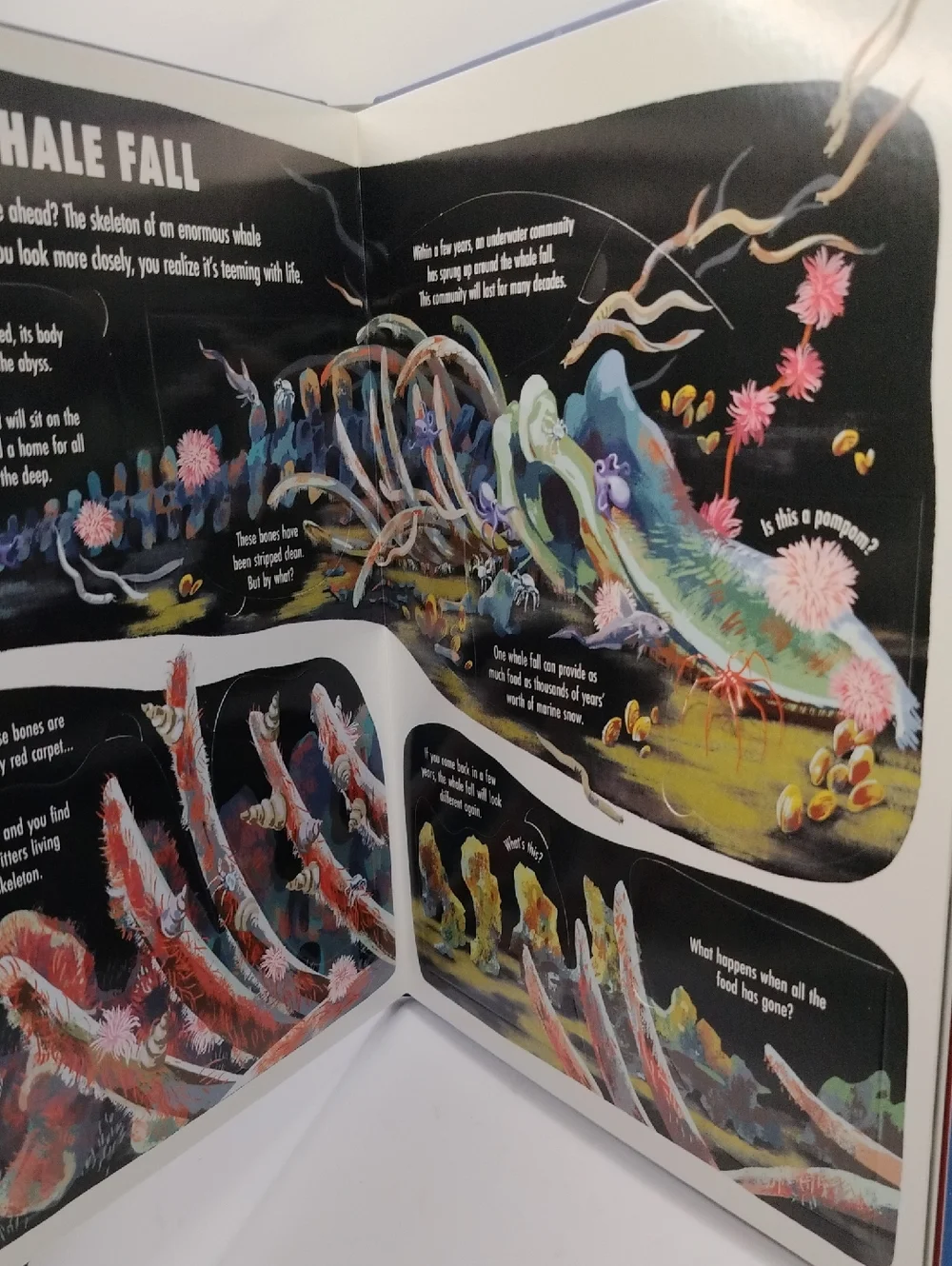 Extreme Planet: The Deep A Lift A Flap Book About Ocean Creatures NEW